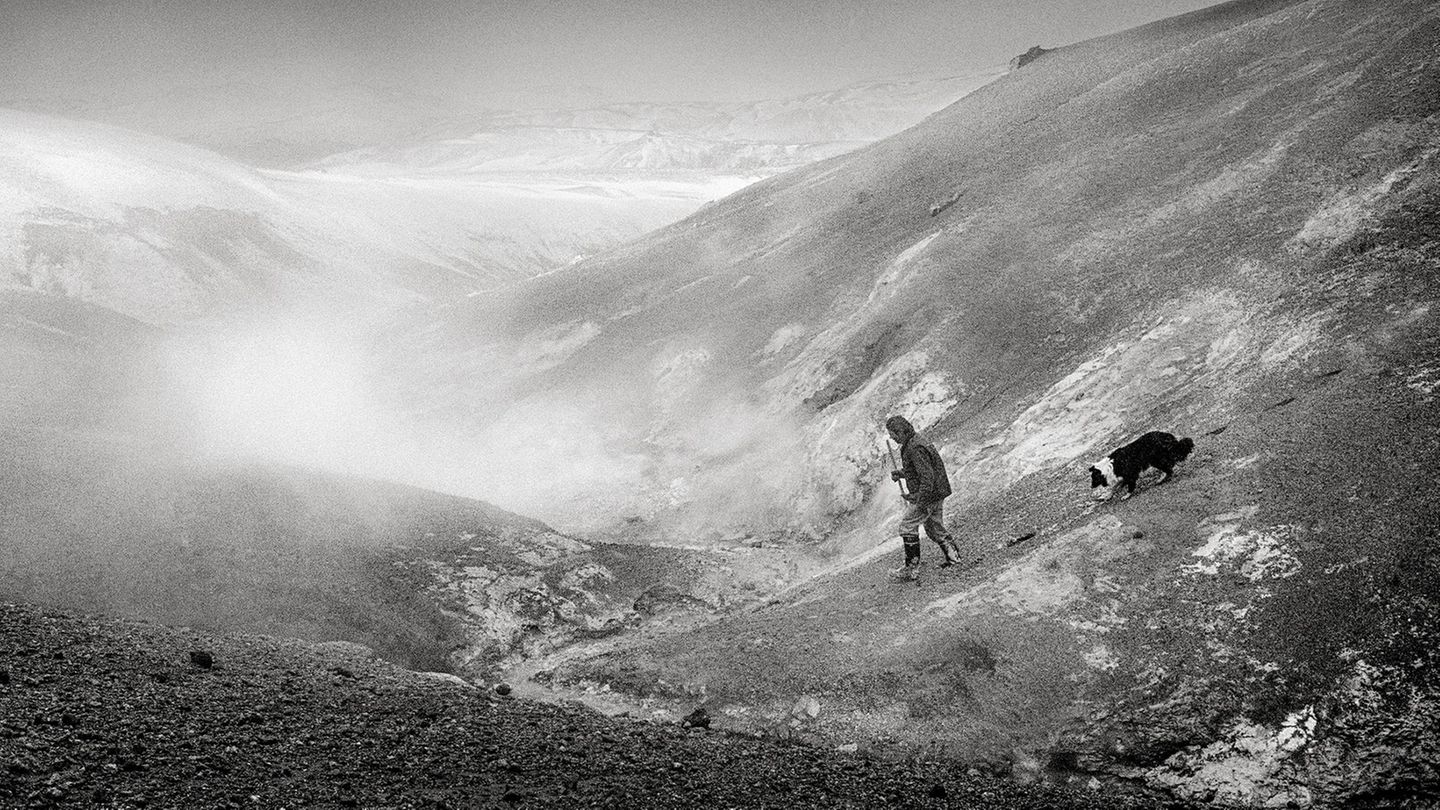 Schafabtrieb in Island: Wo die Landschaft rau ist und das Fell weich