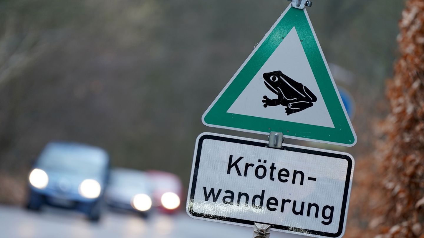 Tiere: Amphibienzaun beschädigt – Polizei sucht Zeugen