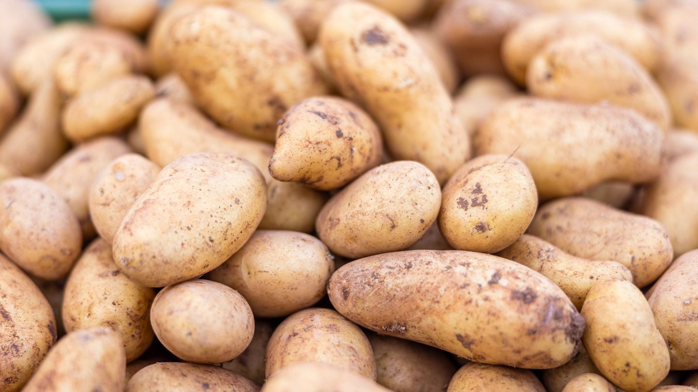Pflanzenschutz: Bekämpfung von Zikaden nun auch bei Kartoffeln
