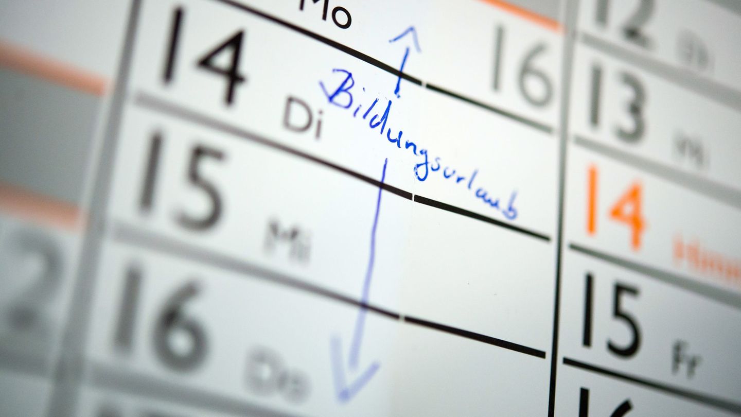 Weiterbildung: FDP kritisiert Pläne für gesetzlichen Bildungsurlaub