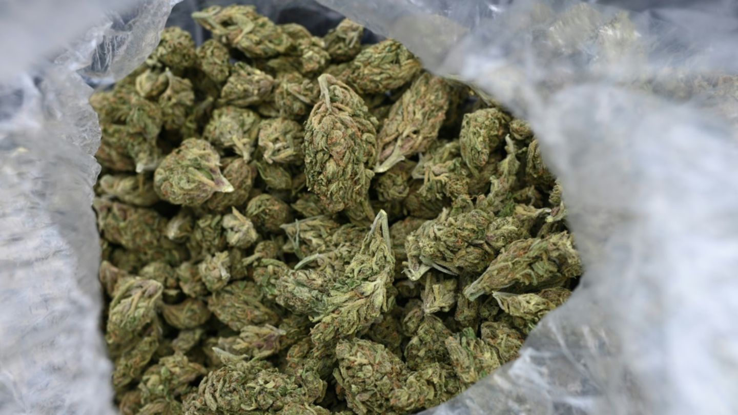 Größter Cannabisfund in der Geschichte des Flughafens Berlin-Brandenburg