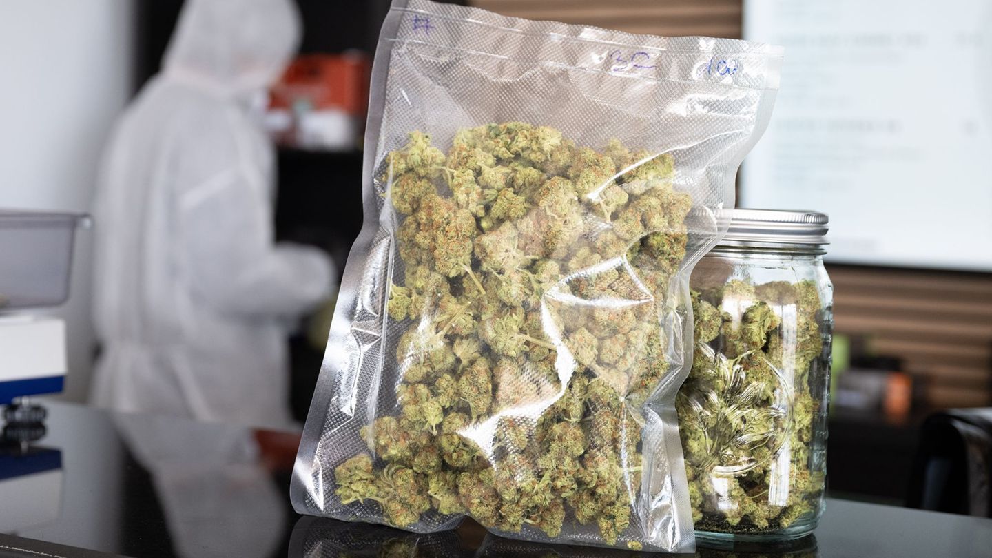 Gesellschaft: Teillegalisierung von Cannabis: Innenminister zieht Bilanz