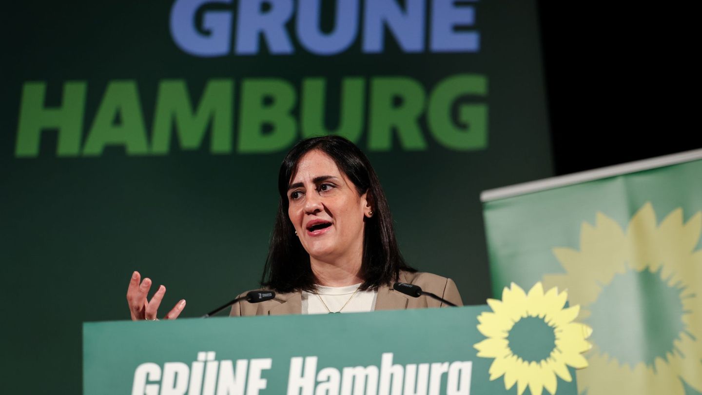 Neuauflage von Rot-Grün: Grünen-Chefin soll Wissenschaftssenatorin werden