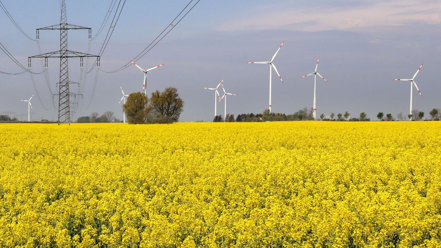 Klimaschutzgesetz: Umweltverband dringt auf Landesklimaschutzgesetz für MV