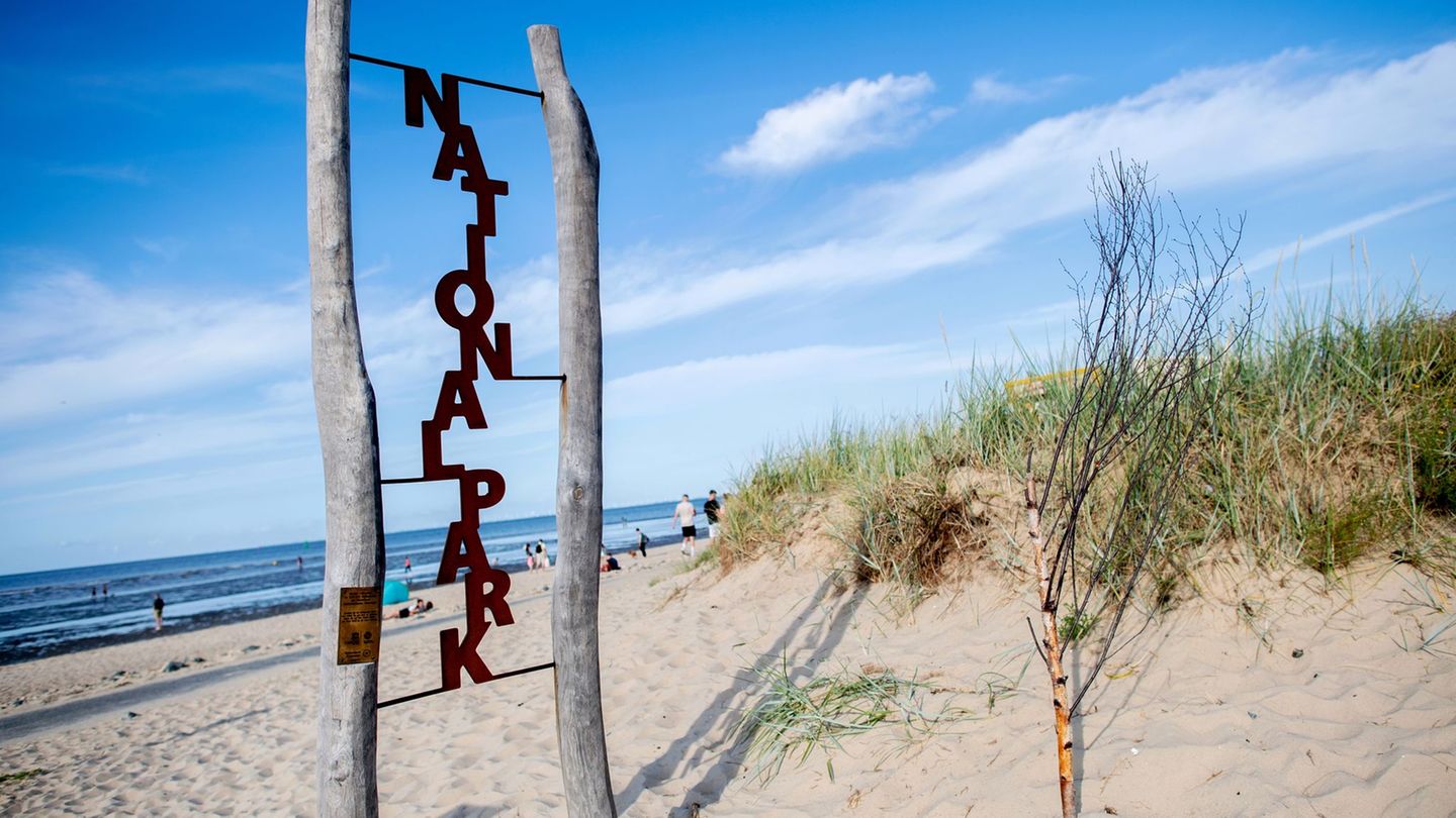 Energieversorgung: Organisationen lehnen neue Kabeltrassen durchs Wattenmeer ab