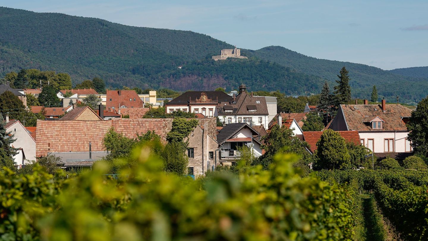 Mit Paraden statt Festzug: Neustadt plant Rheinland-Pfalz-Tag „voller Lebensfreude“