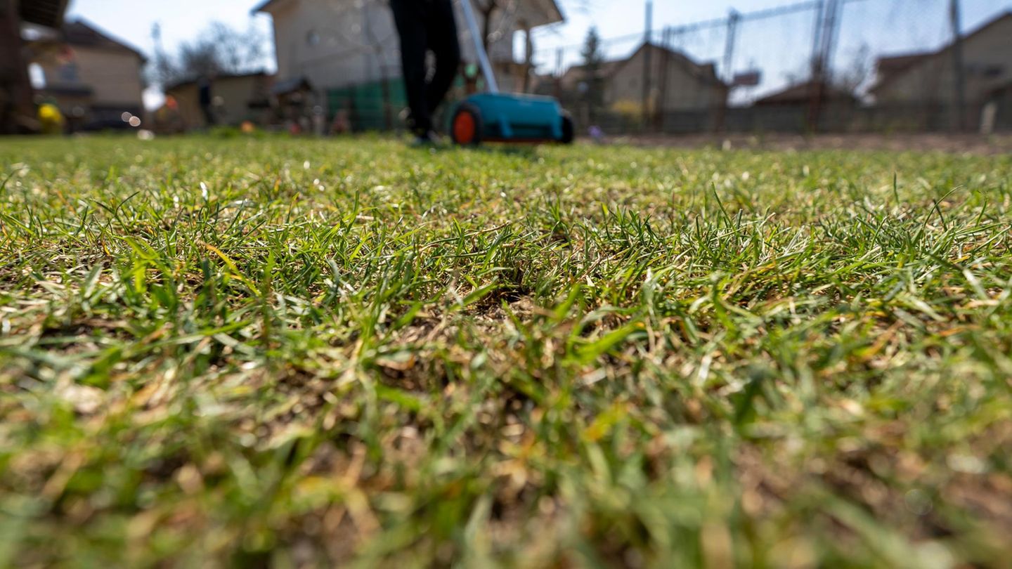 Haus & Garten: 48 % Rabatt auf Rasendünger plus Unkrautvernichter: Garten-Deals am Donnerstag