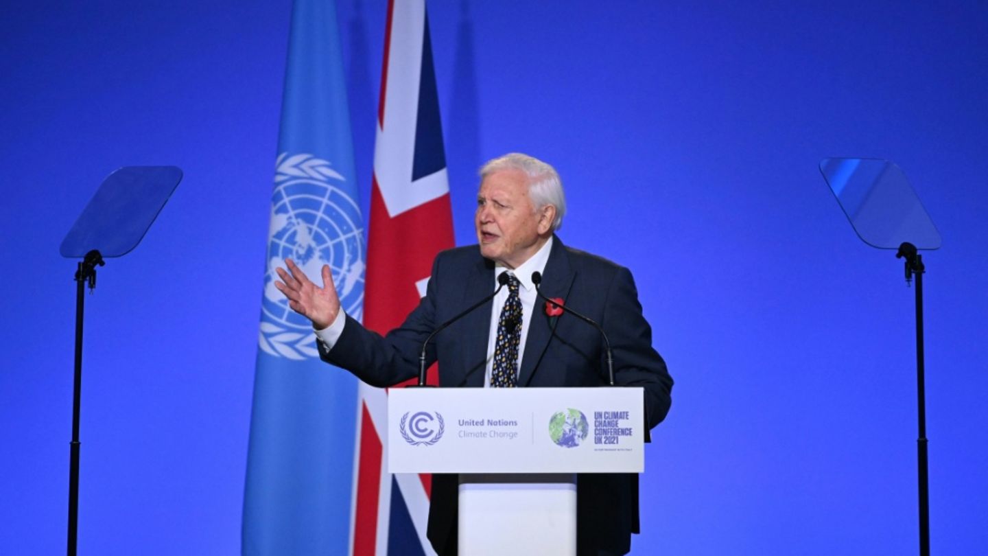 Naturfilmer Attenborough ruft mit neuem Film „Ocean“ zum Schutz der Meere auf