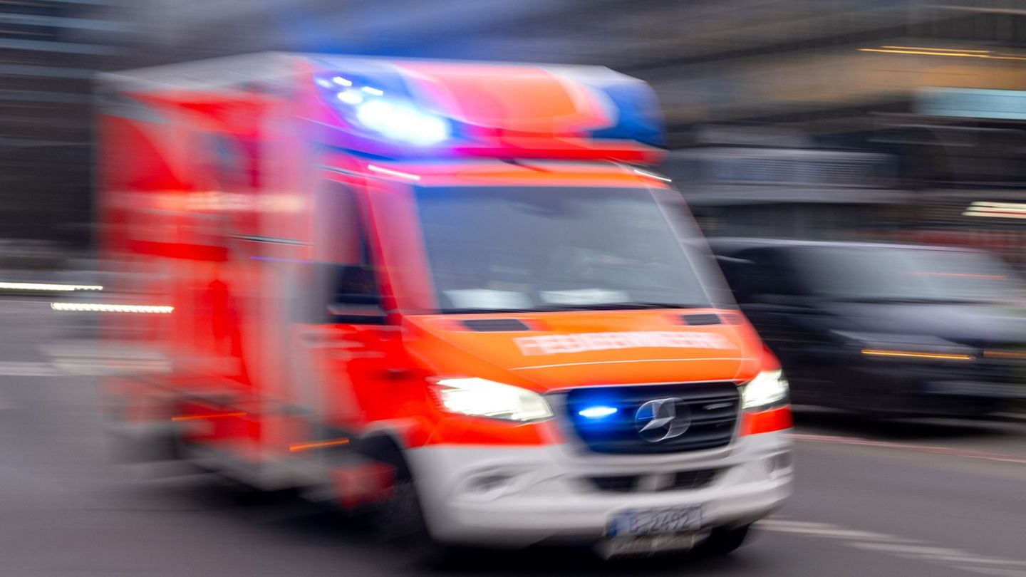 Unfall: Pferd geht in Kutschfahrt-Pause durch – mehrere Verletzte
