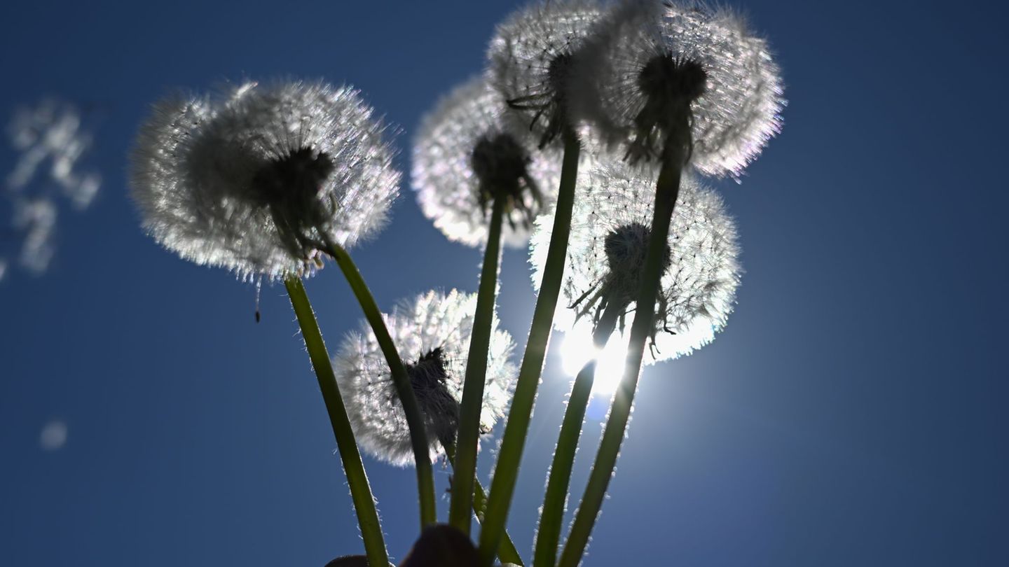 Wetteraussichten: Neue Woche startet mit Temperaturen über 20 Grad