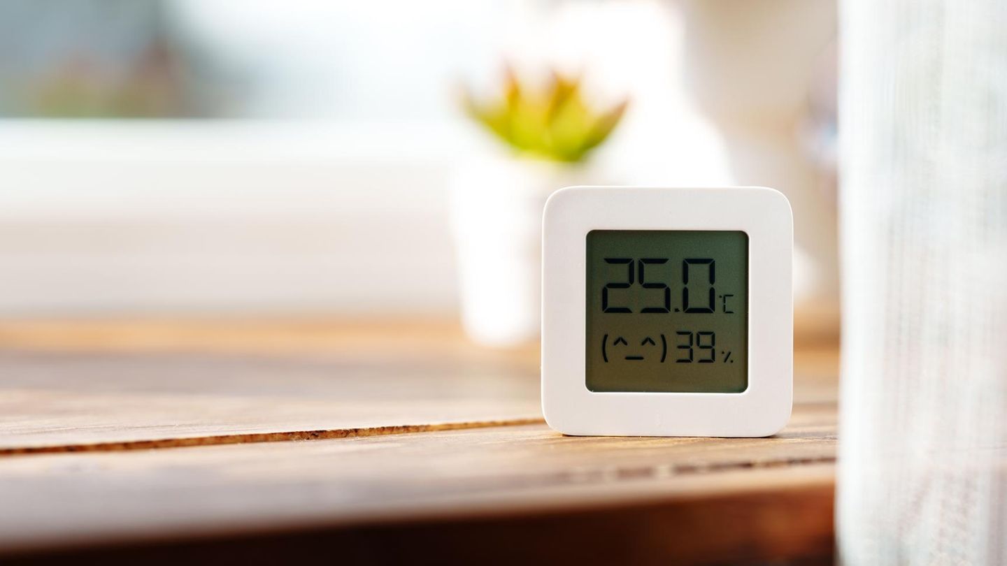 Kraut & Dübel: Hygrometer für 16 statt 27 Euro: Top Garten-Deals am Freitag