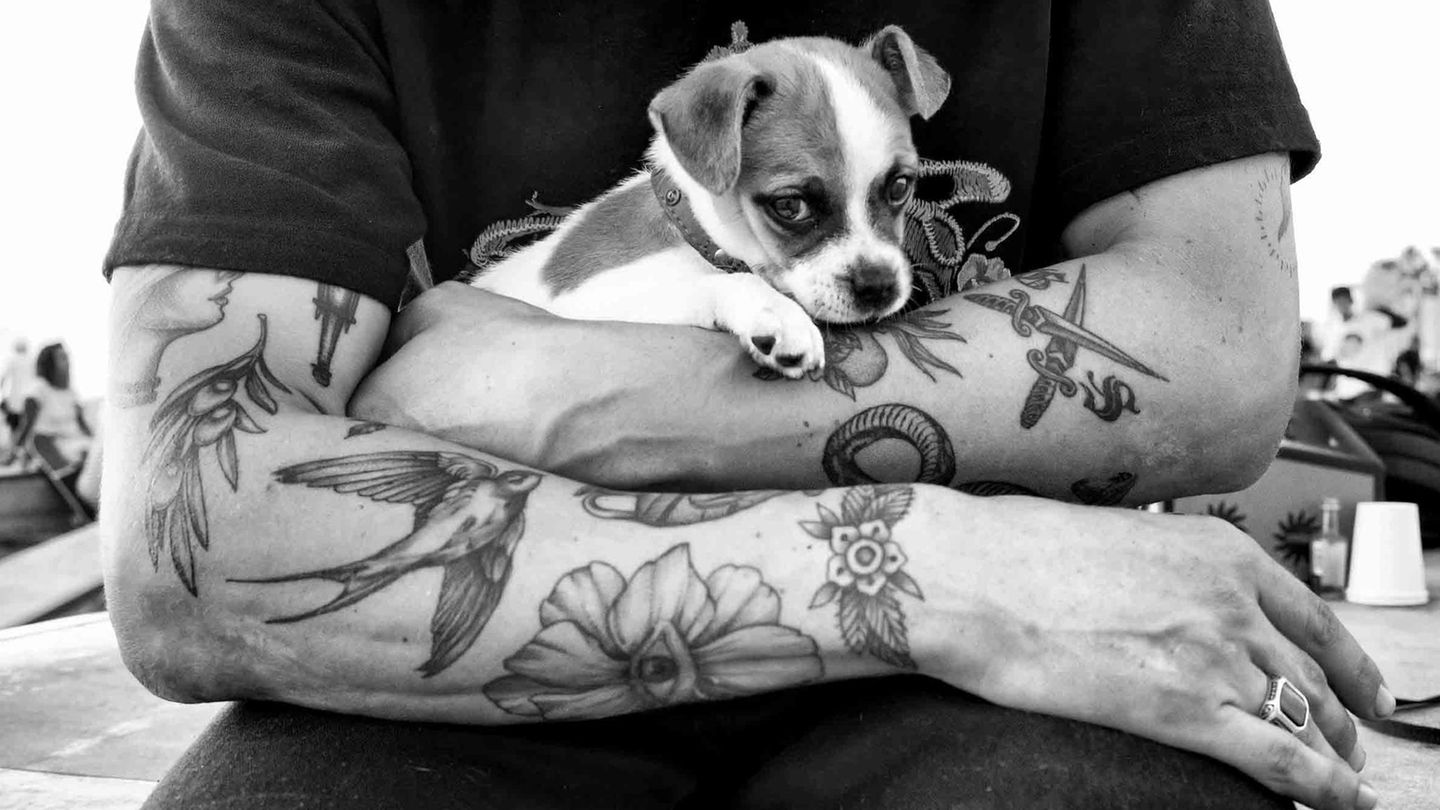 Bildband „Dogtown“: Das Leben der Hunde von Venice Beach