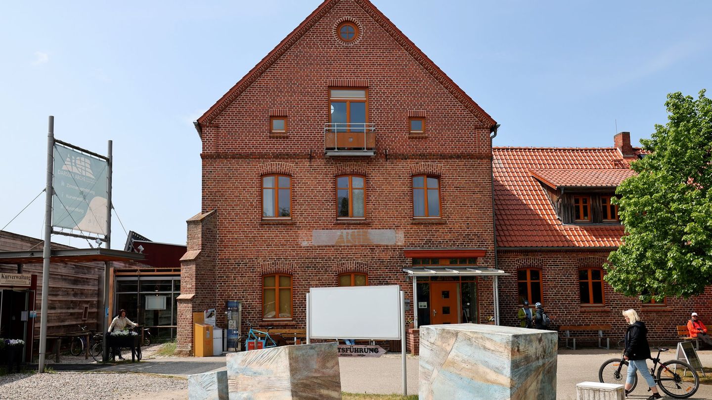 Gemälde werden versteigert: Kunstauktion in Wieck – Fokus auf moderne Malerei