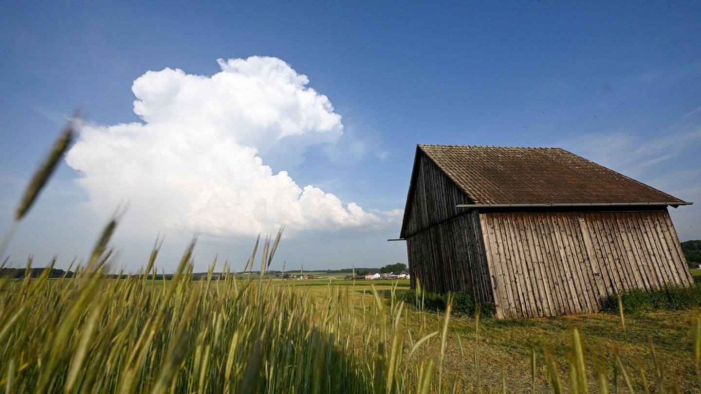 Sonne kommt zurück: Die Sonne kommt zurück: Kleiner Sommer im Anmarsch