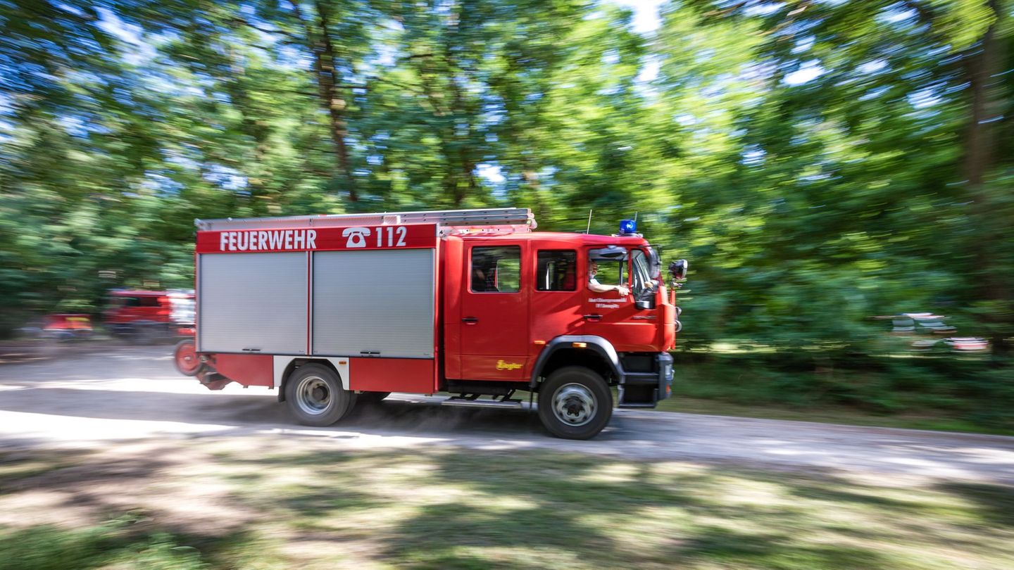 Waldbrandsaison: Angespannte Lage für Wälder – Höchste Brandgefahr erwartet