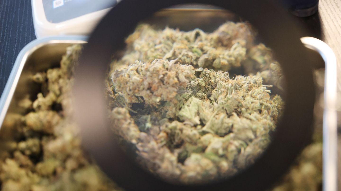 Cannabis: Acht Cannabis-Clubs in Thüringen warten noch auf ihre Lizenz