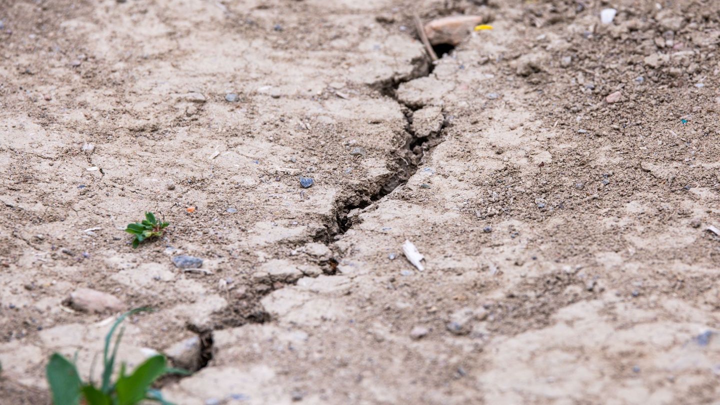 Kritik an Förderpraxis: ORH kritisiert Bayerns Förderungen von Agrar-Versicherungen