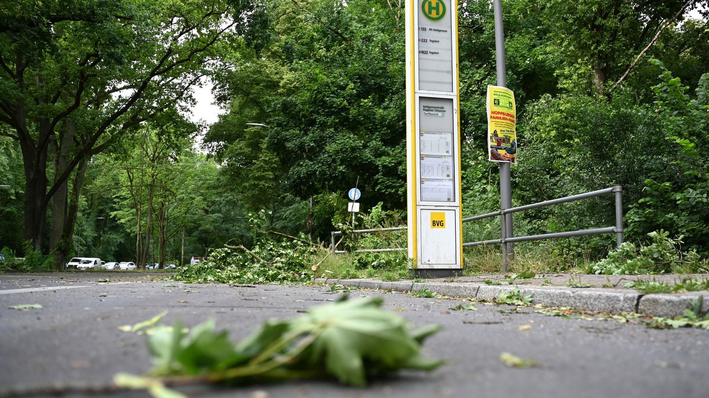 Unwetterfolgen: Nach dem Unwetter: Spandauer Forst ist gesperrt