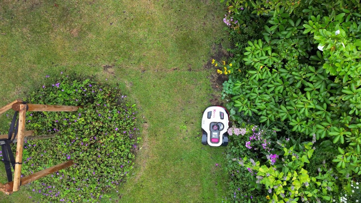 Garten: Mähroboter-Käufe um 45 Prozent gestiegen