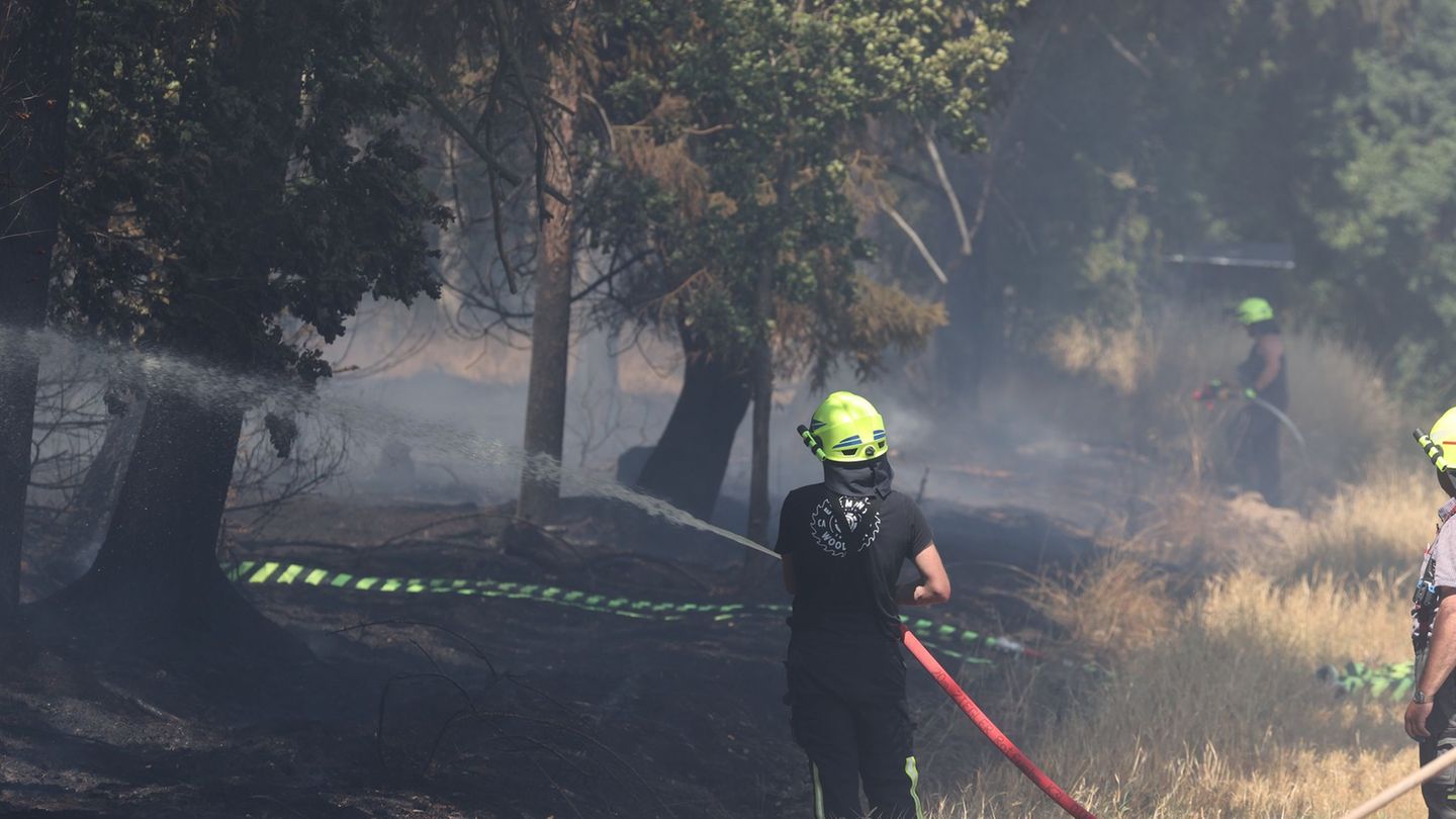 Wetter: Thüringen Forst rechnet mit höchster Waldbrandgefahr