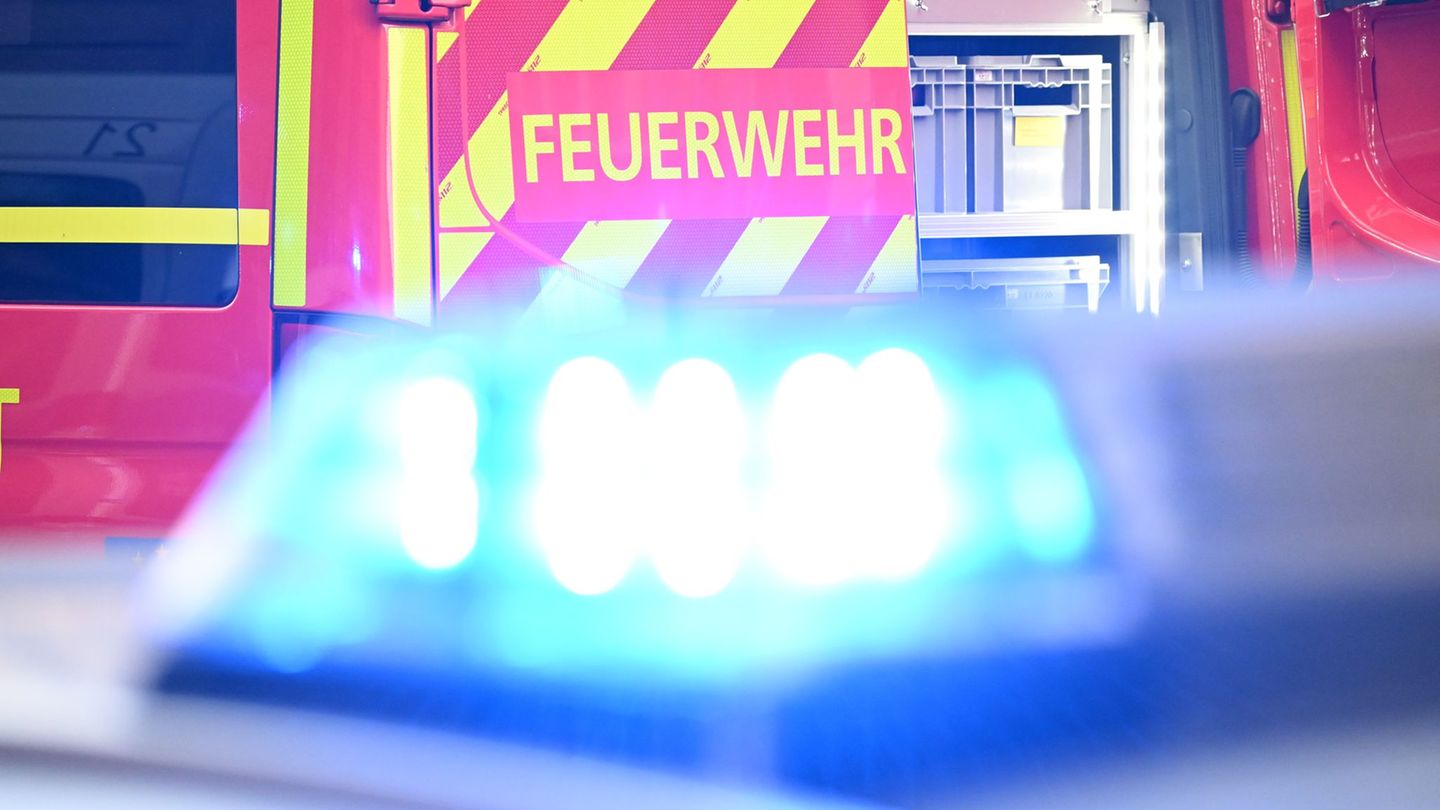 Trockenheit: Waldbrände in Brandenburg ausgebrochen