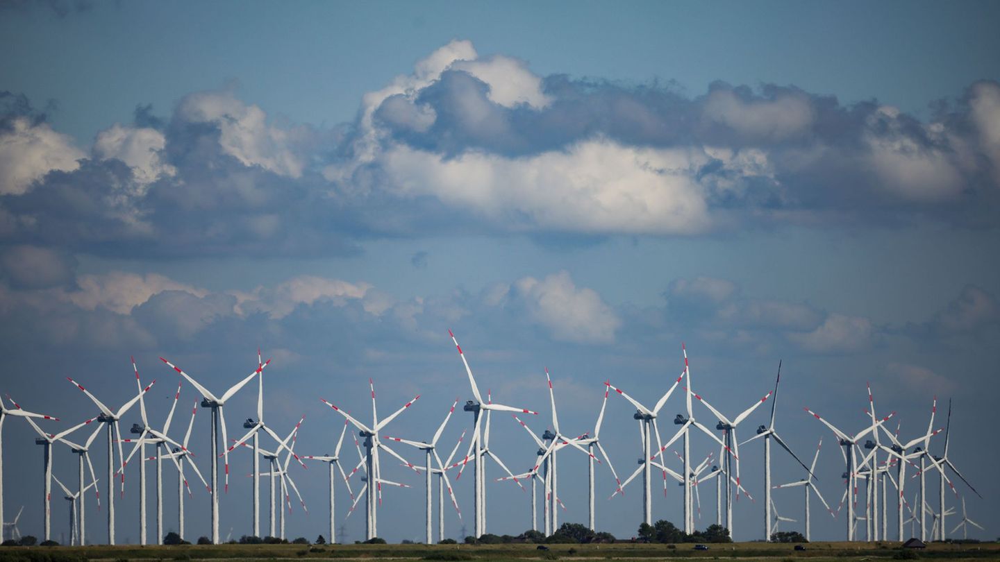 Erneuerbare Energie: Zahl der Windräder an Land in Schleswig-Holstein gestiegen