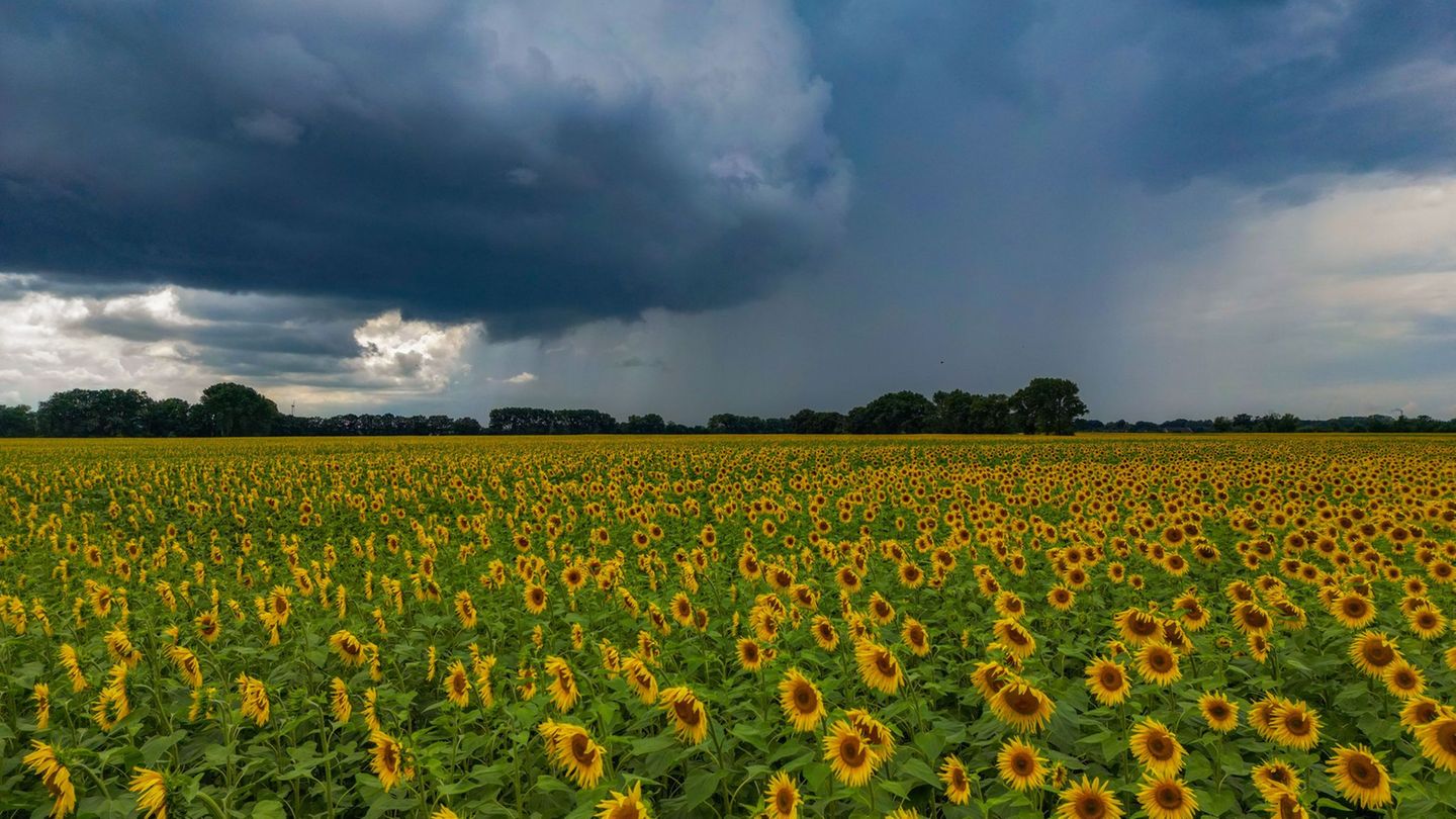 Wechselhaftes Wetter: Immer wieder Regen und Gewitter zum Ende der Woche