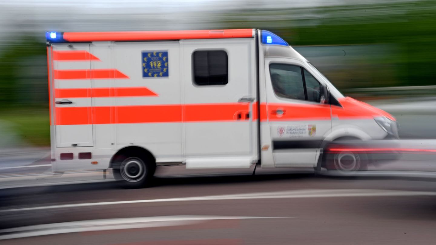 Oberbayern: Senior stirbt bei Baumfällarbeiten