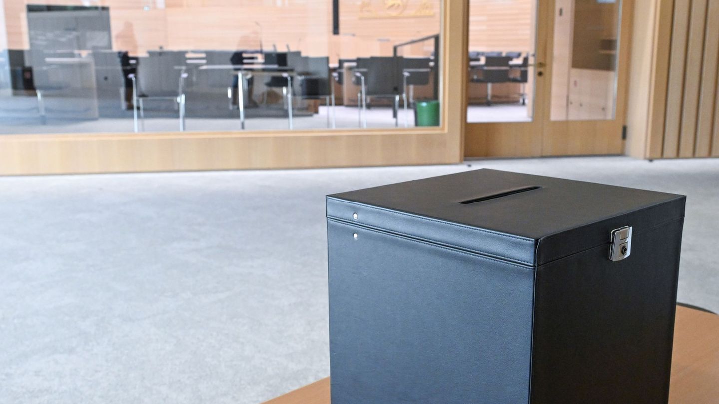 Skandal im Landtag: Kommunikationsexperte: Hakenkreuz-Skandal nützt der AfD