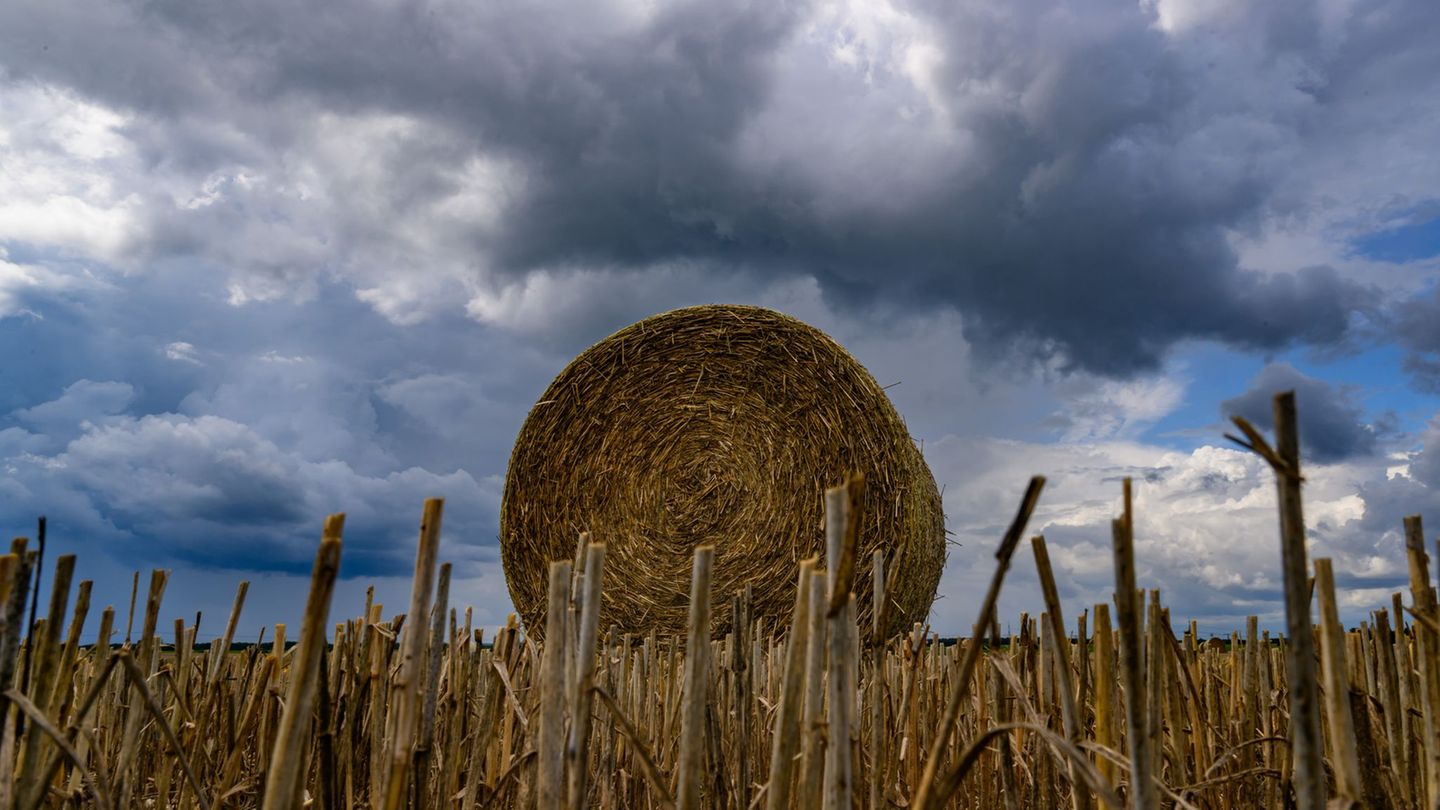Wetter: Schauer und Gewitter in Berlin und Brandenburg