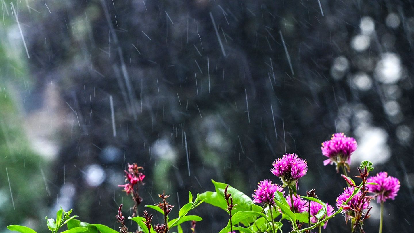 Wetter: Wolkig mit Aussicht auf Besserung