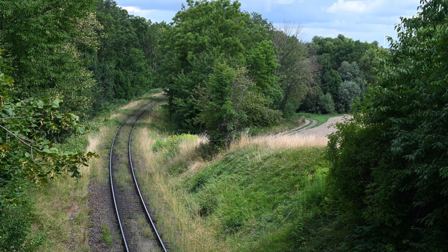 Im Süden Sachsen-Anhalts: Kabelbrand an Bahn-Nebenstrecke – Verbindung nach NRW?