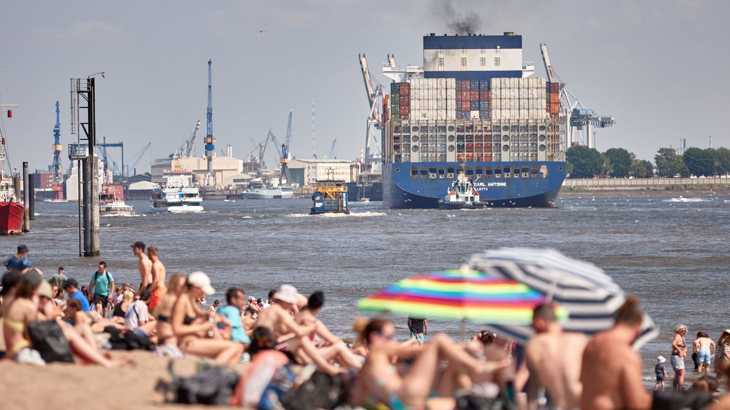 Schwimmen in der City: CDU fordert Flussbad für Hamburg