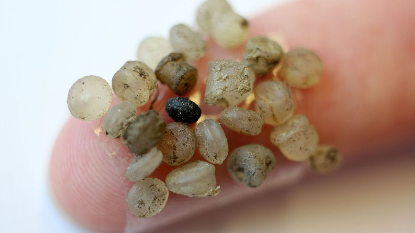 Chemiestandorte untersucht: Studie stellt Mikroplastik im Rhein fest