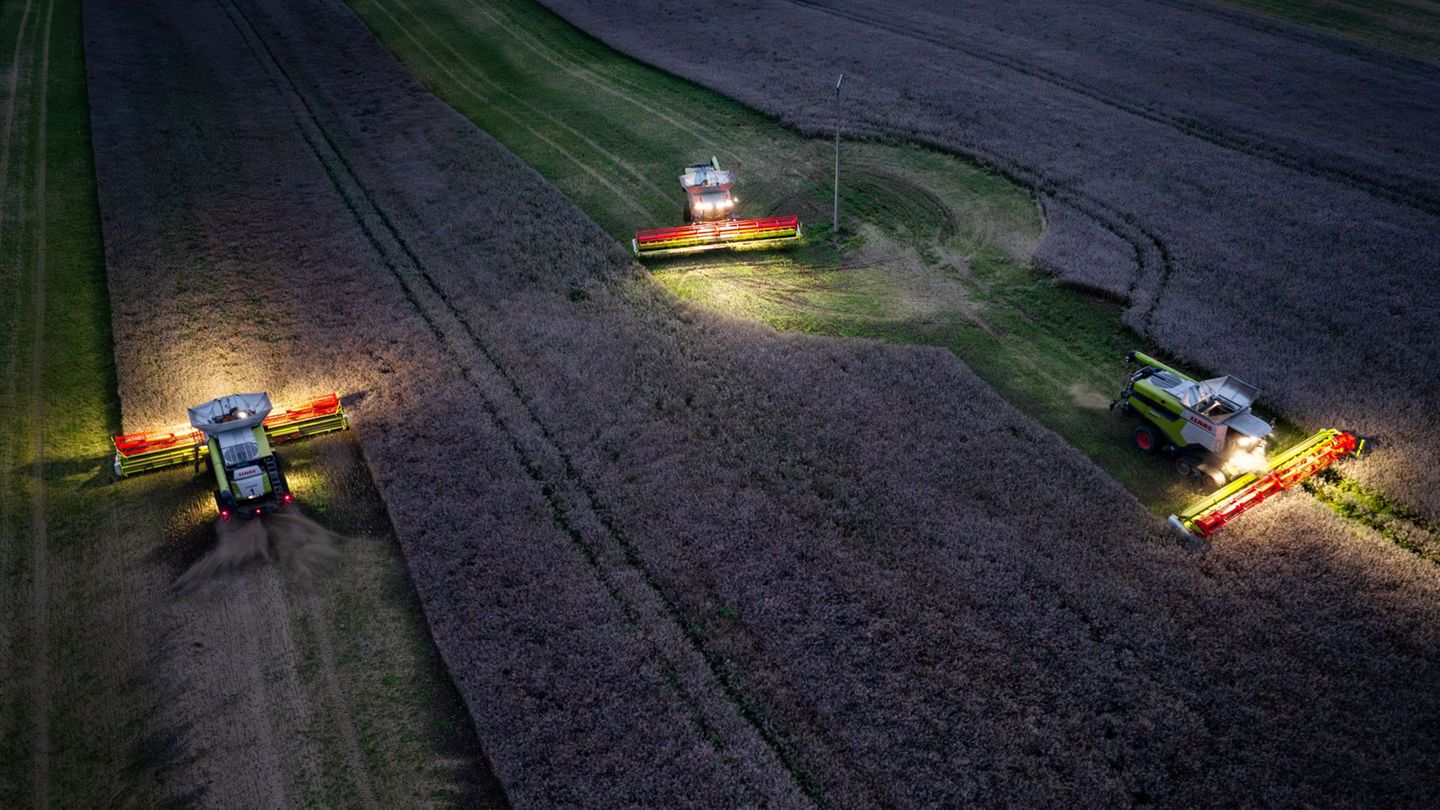 Landwirtschaft: MV-Bauern bei Ernteprognose verhalten – Bundesweit Zuwachs