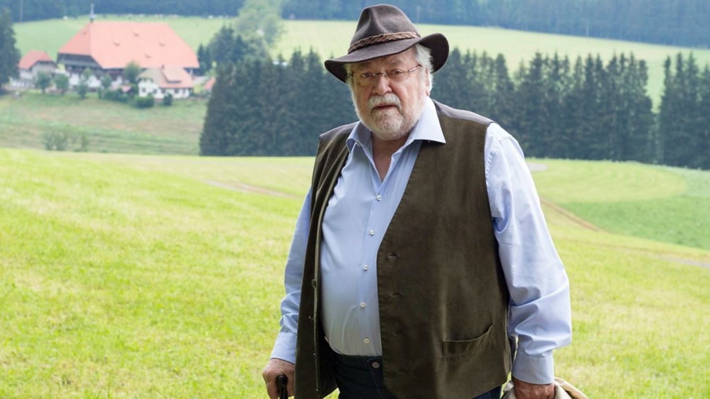 Wolfgang Hepp verlässt Serie „Die Fallers“: Schauspieler verlässt Serie nach 31 Jahren