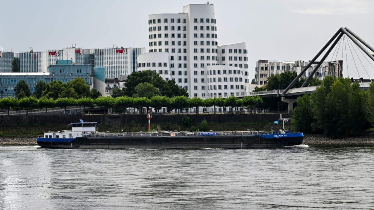 Badeverbot im Rhein: Nach Düsseldorf auch in Neuss – Köln stimmt im September ab