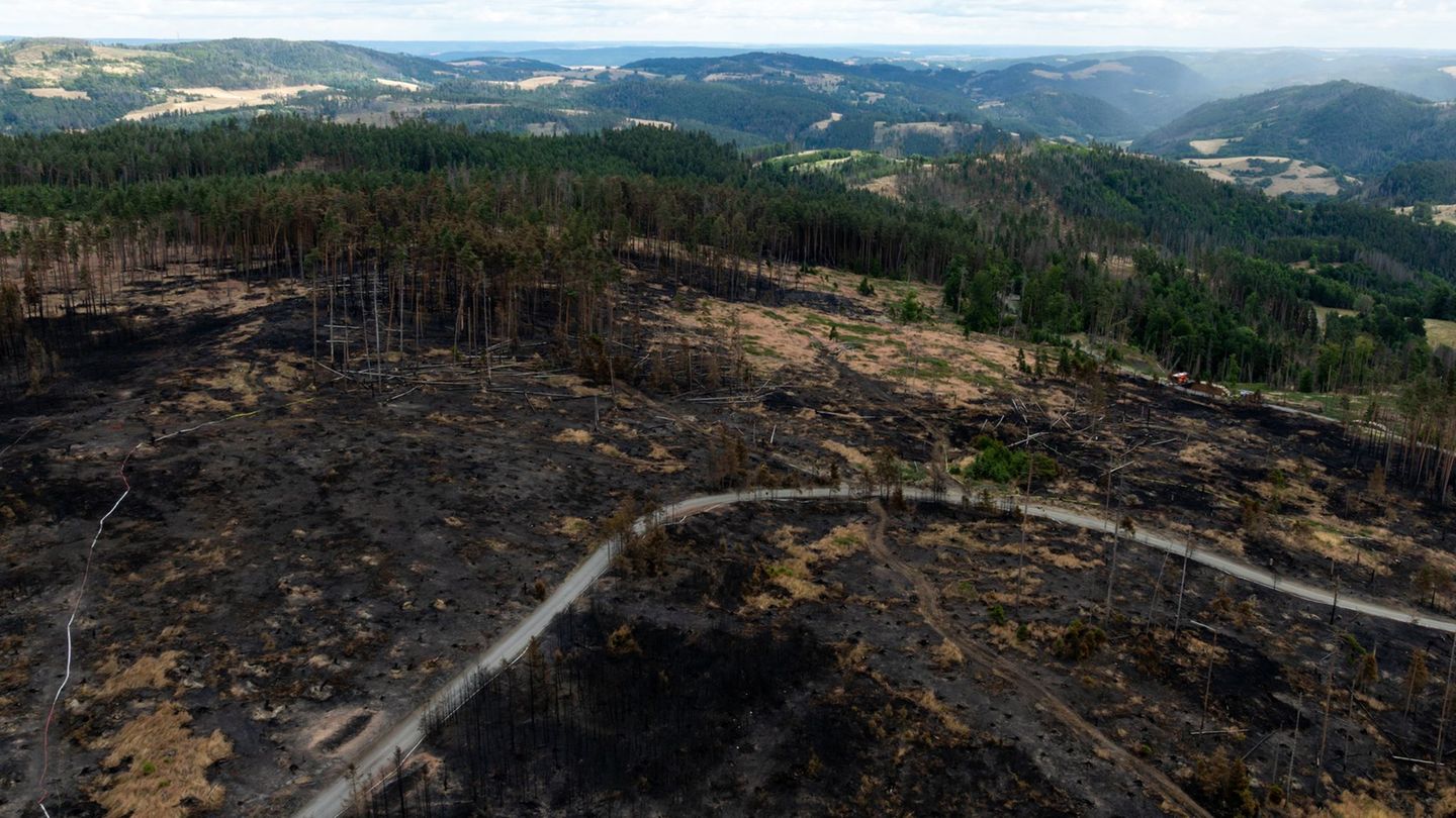 Feuer: „Waldbrand-intensives Jahr“ ist schon absehbar