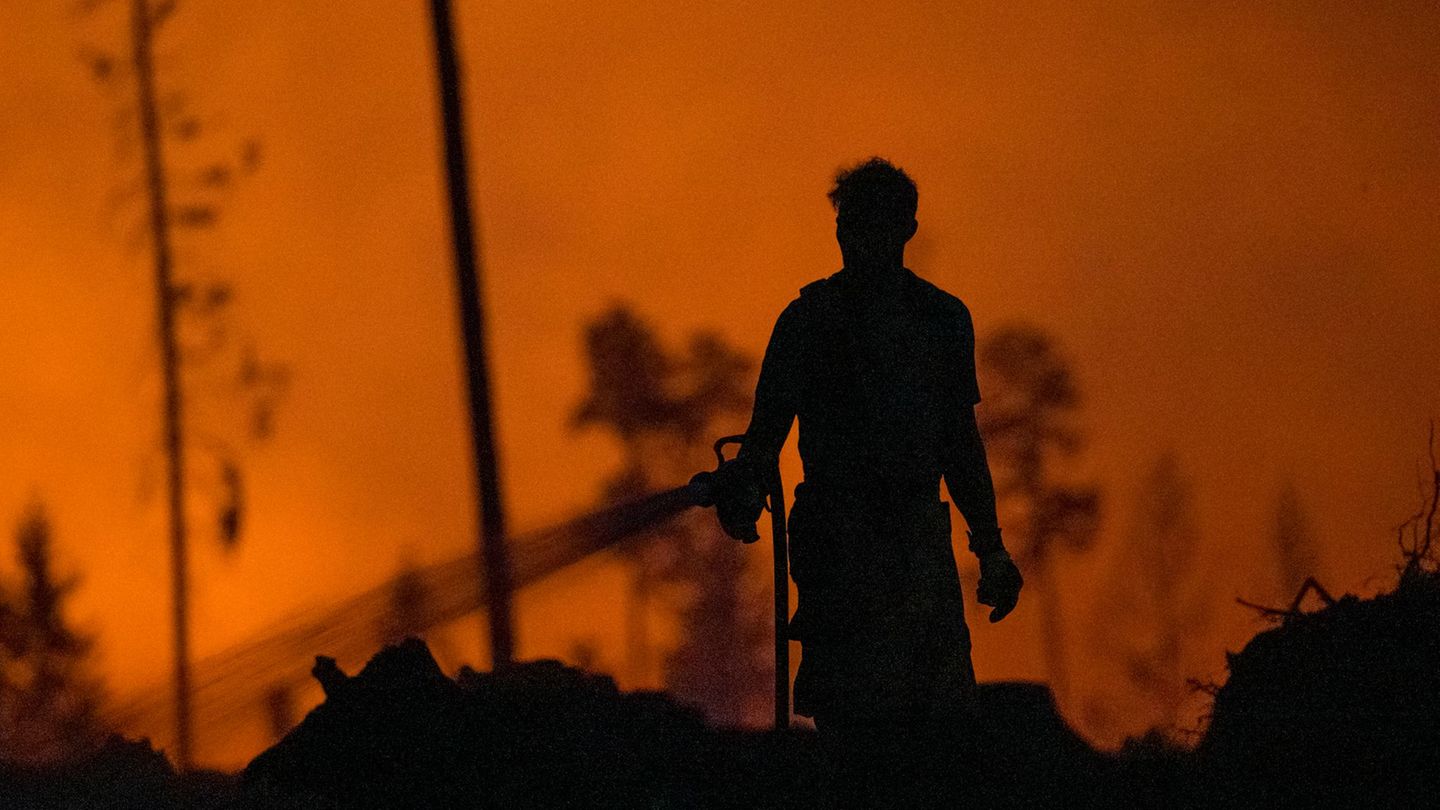 Kreis Saalfeld-Rudolstadt: Ermittlungen zu Waldbrand auf Saalfelder Höhe dauern an