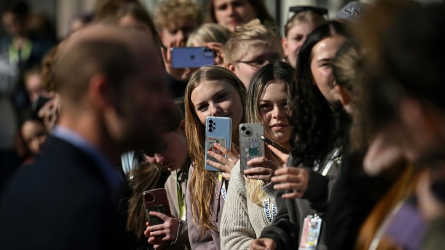 Cambridge Dictionary nimmt Social-Media-Begriffe wie „tradwife“ und „delulu“ auf