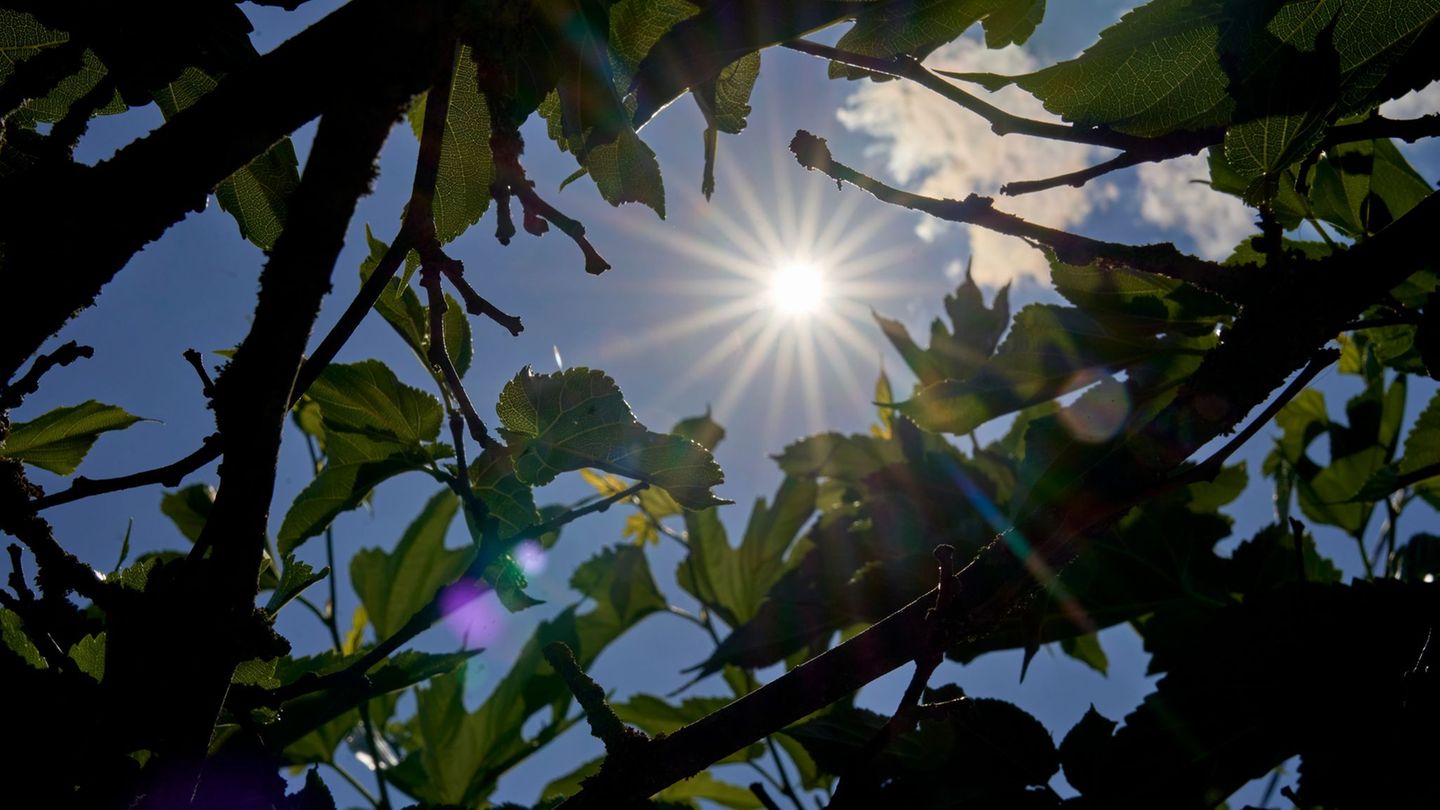 Wetter: Ruhiges Sommerwetter in Rheinland-Pfalz und dem Saarland