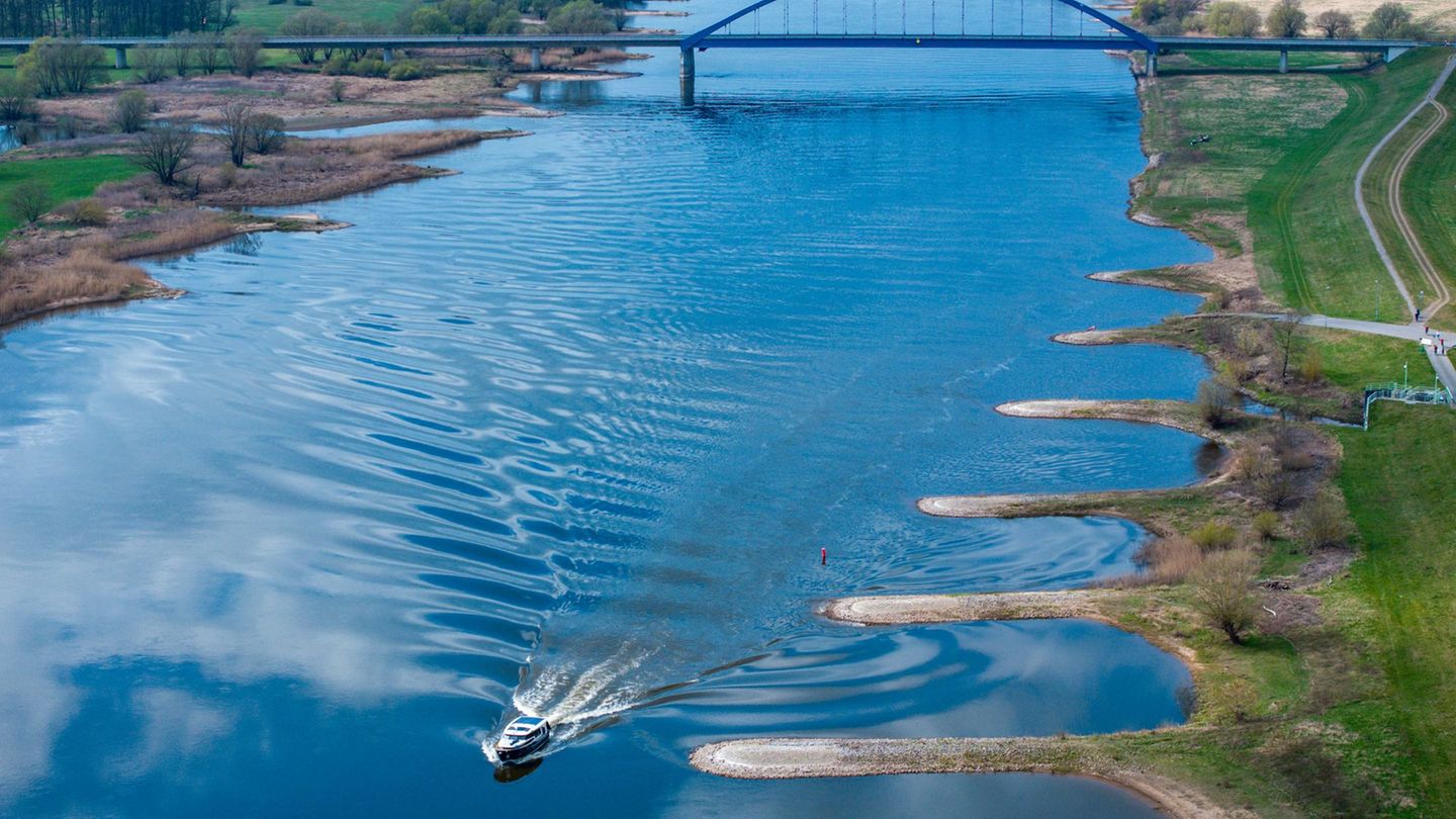 Frachtschiffe auf der Elbe: BUND hält weitere Vertiefung der Elbe für sinnlos