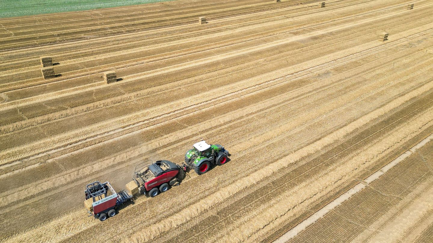 Statistik: Besonders viel landwirtschaftliche Fläche in Sachsen-Anhalt