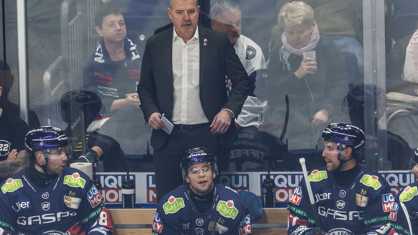 Testspiel: Eisbären Berlin gewinnen gegen Liberec
