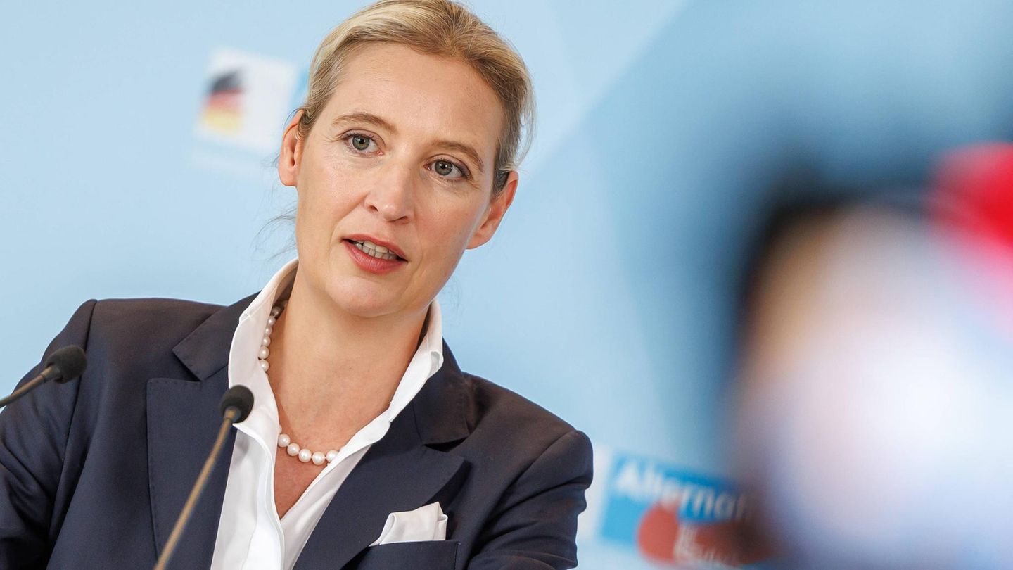 Deepfakes & Co: Wie die AfD wieder die Konkurrenz im Netz abhängt