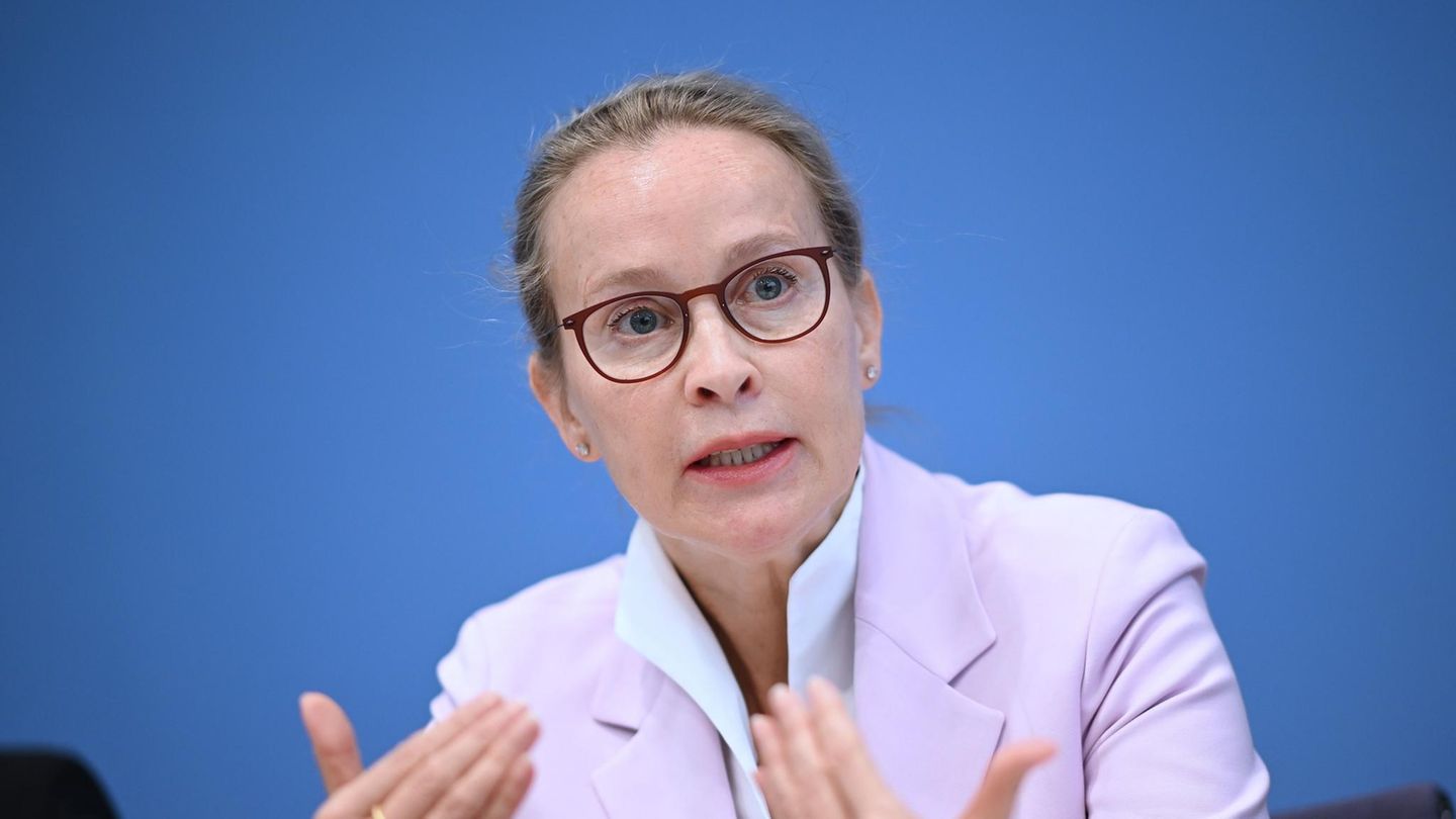 SPD-Favoritin: Brosius-Gersdorf zieht Kandidatur für Verfassungsgericht zurück