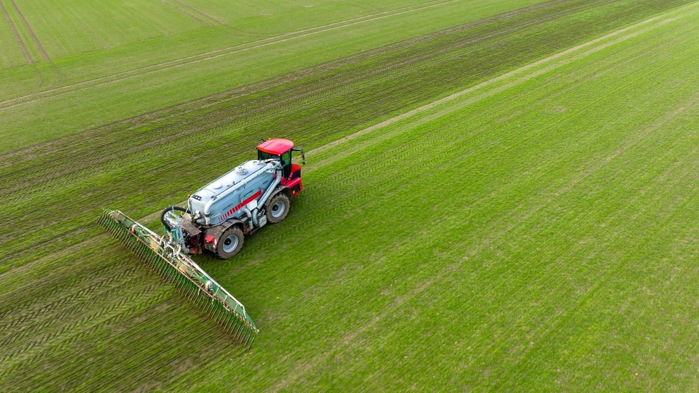 Agrar: Niedersachsen will Bodenmarkt gerechter machen