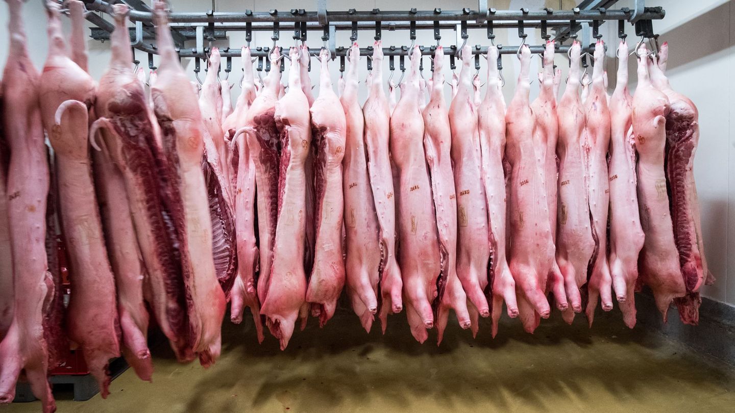 Handelsstreit: China verhängt Zölle auf Schweinefleisch aus der EU