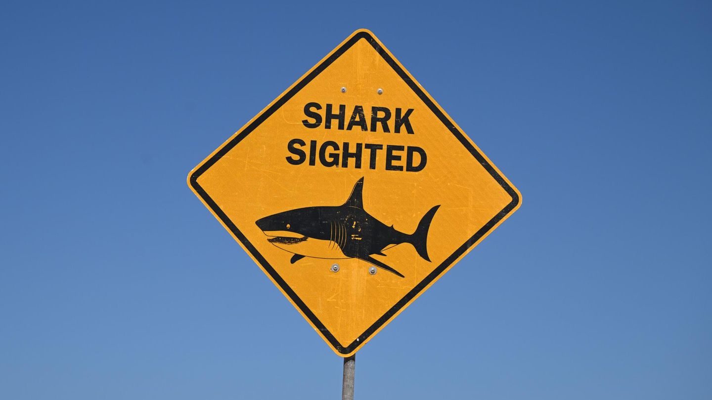 Australien: Surfer stirbt nach Hai-Attacke in Sydney